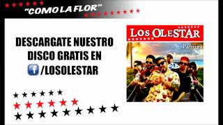 Los Olestar  Como la flor Selena [upl. by Ecinert]