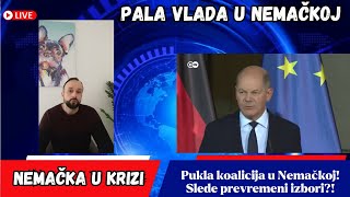 Nemačka u Krizi Pala Vlada  Slede Vanredni Izbori [upl. by Etteuqal]