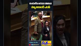 New Zealand Youngest MP Hana Rawhiti Strikes  Again In Parliament With Maori Haka  Disha TV [upl. by Maryjane]