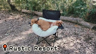 【Brisbane Camping Vlog 2】The Rustic Resort Wamuran The Black Stump campsite Hipcamp forest camp [upl. by Rosse91]