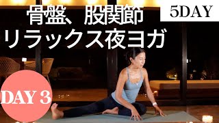 【夜ヨガ③】骨盤、股関節をほぐす リラックス夜ヨガ 17分  Wellness To Go by Arisa [upl. by Pember]