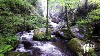 Fervenza Auga Caída Ribeira Sacra [upl. by Eittah158]