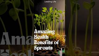 quotDiscover the Surprising Benefits of Eating Sprouts 🌿quot sprouts leadinglife [upl. by Chelsae910]