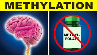 How To Support Methylation Without Methyl Donor Supplements [upl. by Frederica]