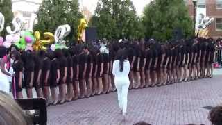 AKA quotSweetquot Mu Pi Chapter  Spring 2014 Probate 1 of 17 [upl. by Ennaj]