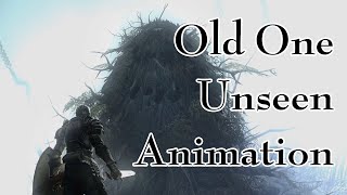 Old One Unseen Animation [upl. by Wager]