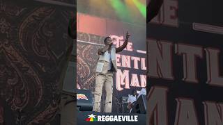 Romain Virgo  Summerjam 2024 🔥 Cologne Germany reggaeville [upl. by Skill]