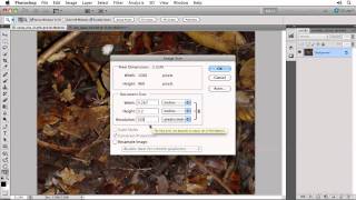 Photoshop CS5 Image Size and Resolution and Resizing an Image [upl. by Rakia]