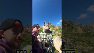 Rifugio Nani Tagliaferri🐺🏔️ trekkinghikingmountaindogsdogtrekkingmeme [upl. by Erik]