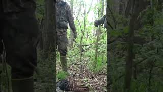 “That feeling when they gobble right there” shortsfeed shorts hunting [upl. by Kery]