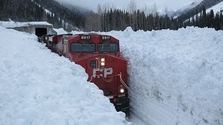 Tren Polar ÁrticoAlaskaUSAProducciones VicariJuan Franco Lazzarini [upl. by Chrotoem]