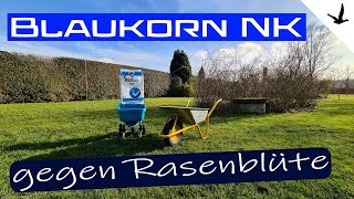 Rasendünger Blaukorn NK gegen Rasen Blüte🚩Erklärung und Anwendung [upl. by Notgnirra]