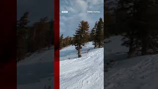 A skier just missed hitting a bear on the slopes of Lake Tahoe California Shorts BBCNews [upl. by Negriv424]