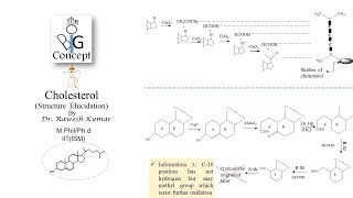 Cholesterol Structure Elucidationthebigconceptpgtopics6291 [upl. by Martynne218]