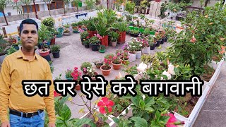 How to make terrace garden  Terrace garden ideas [upl. by Norrag]