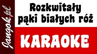 Piosenki patriotyczne  Rozkwitały pąki białych róż  KARAOKE  podkład muzyczny  Jangok [upl. by Ycrem]