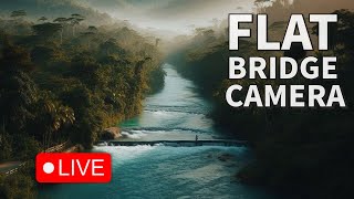 🟢 Flat Bridge Live Camera 247  Jamaica LIVE [upl. by Aynosal]