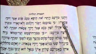 Haftorah Reading Toldot Rabbi Weisblum קריאת הפטרת תולדות הרב ויסבלום [upl. by Atiekram]