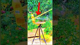 Bamboo lover slingshot Bamboo facts diy shortsfeed amazingfacts viralvideo viralreels [upl. by Acirret]