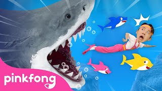 😱 Run Away from the Sharks  Animal Song  Hois Playground  Pinkfong Baby Shark Kids Song [upl. by Aerdno646]