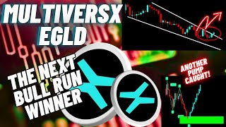 MultiversX EGLD Crypto Coin The Next Bull Run Winner [upl. by Zipnick]