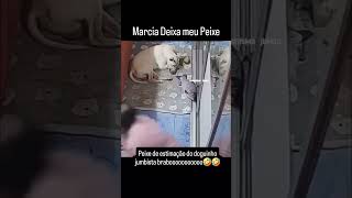 No meu peixe n Márcia 🤣😂😂😂 funnyvideo memes videoviral brasilmemes comedia videoshorts humor [upl. by Jet519]