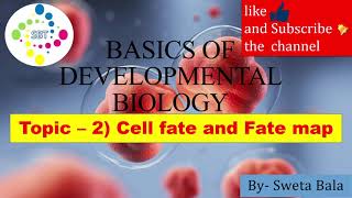 cell fate and fate map  Basics of developmental biology  CSIRNET  GATE ICMR  DBT [upl. by Zink597]