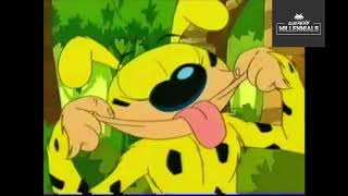 Marsupilami  INTRO Serie Tv 1993 [upl. by Heffron]