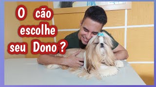 O cachorro escolhe o dono [upl. by Bastien]