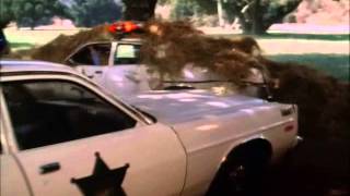 The Dukes Of Hazzard  S02E02 Scene 3 [upl. by Nazay182]