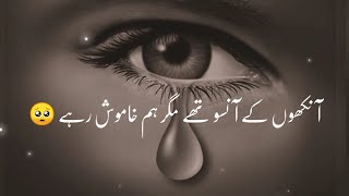 Ankhon Ke Anson They  Sad Poetry Status  Shero Shayari In UrduHindi 2022 [upl. by Dulcia358]