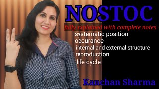 Nostoc I algae nostoc Thallus reproduction and life cycle l Nostoc Bsc part I l Kanchan Sharma [upl. by Lampert]