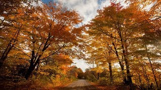 Fall for Kawartha Lakes [upl. by Polik300]