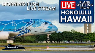 Live Plane Spotting in Hawaii  HNL PHNL  Reverse Ops [upl. by Halsted353]