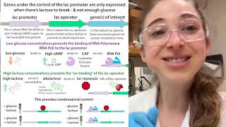 Autoinduction for recombinant protein overexpression [upl. by Siram]