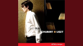 Liszt Schubert  Schwanengesang S560R245 No 12 Der Doppelgänger [upl. by Melosa]