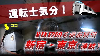 【JR東日本】東京駅で連結！E259系成田エクスプレス前面展望（新宿ー東京） [upl. by Mesics]