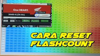 CARA RESET FLASH COUNT [upl. by Aicilav]