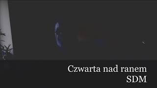 Czarny Blues o Czwartej nad Ranem SDM COVER [upl. by Ecilahs464]