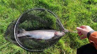 83  Fly Fishing at Rockbourne Trout Fishery [upl. by Gulick437]