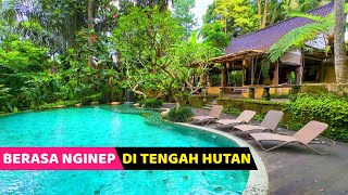 HEALING MANTAP DI TENGAH HUTAN Pramana Giri Kusuma  Hotel Bagus di Ubud Bali [upl. by Carleton]