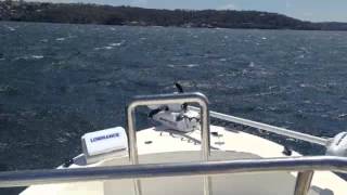 Edgewater 188cc dry ride in 30 knots [upl. by Kedezihclem]