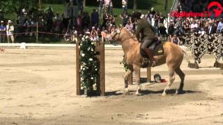 Mihai Malta  Candy  Speed Trail  Europameisterschaften Working Equitation  2016 [upl. by Etnoid]