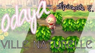 ACNL  Version ODAYA  Trop de buissons tue le buisson [upl. by Reta555]