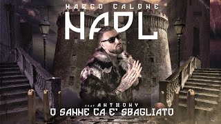 Marco Calone Ft Anthony  O Sanne Ca E Sbagliato [upl. by Gone]