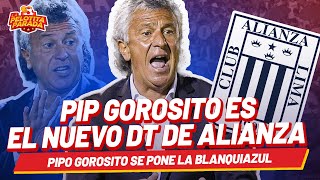 PIPO GOROSITO ES EL NUEVO DT DE ALIANZA LA PELOTITA PARADA ⚽🦵🏳️‍🌈 [upl. by Hanavas]