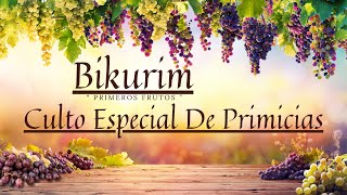 Culto Especial De Primicias 01282024 [upl. by Adnanref]