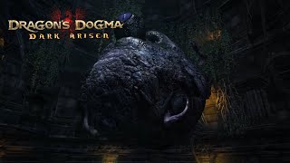 Dragons Dogma Dark Arisen Bitterblack Isle  Eye of the Deep [upl. by Oderfodog783]