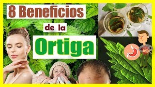 INDIGENA RECOMIENDA TRATAMIENTO ANCESTRAL para CAIDA del CABELLO  ORTIGA🍀  LuxoryEM👌 [upl. by Latricia]