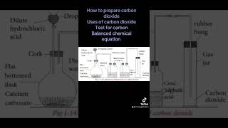 Preparation of carbon dioxide [upl. by Enelra382]